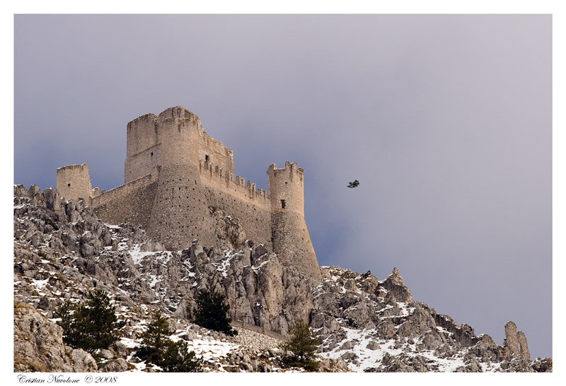 Lady Hawk - Rocca Calascio (L'Aquila)