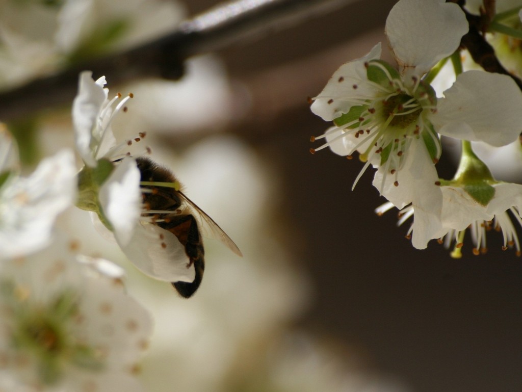 è primavera...al lavoro