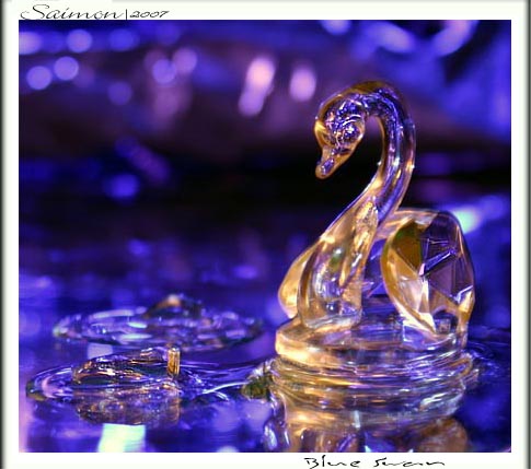 Blue Swan
