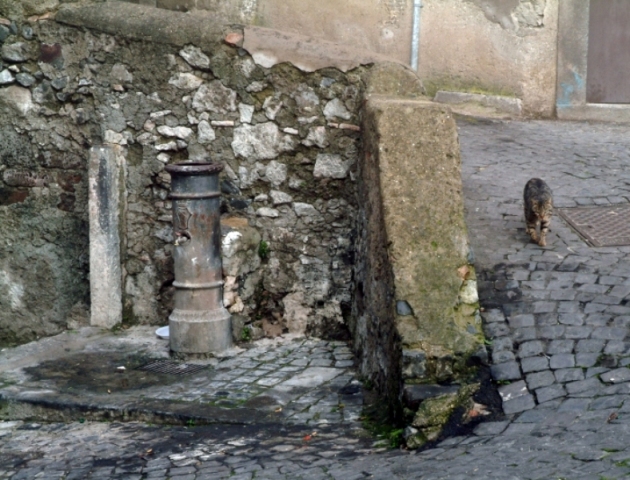 La fontana .......(e il gatto)
