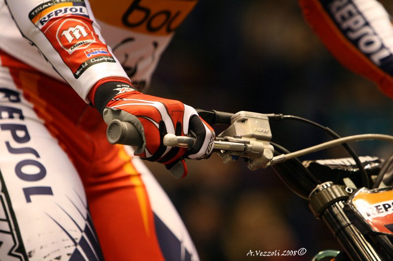 toni bou