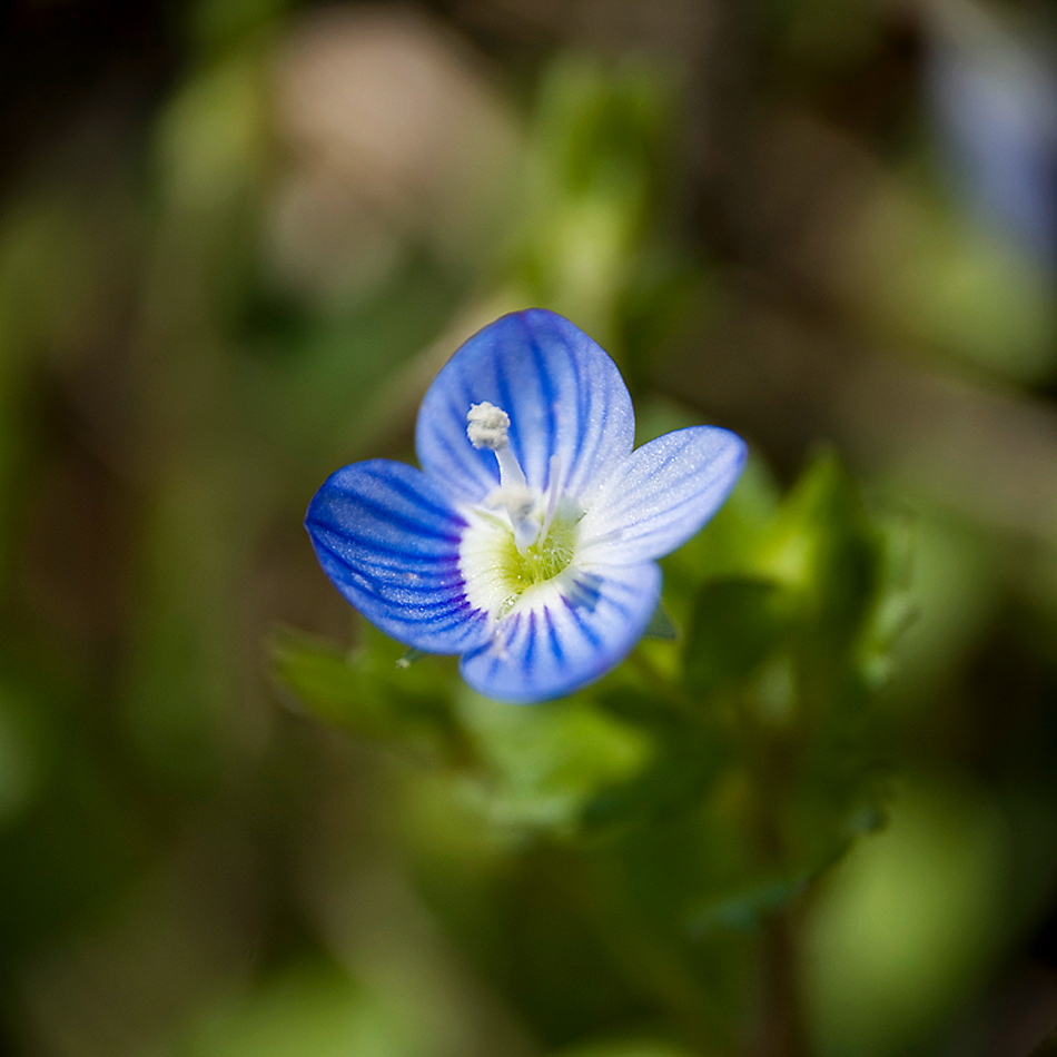 Altra prova di domenica