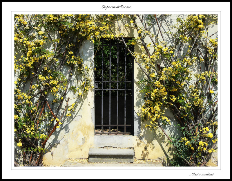La porta delle rose