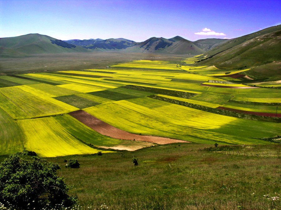 Piangrande di Castelluccio