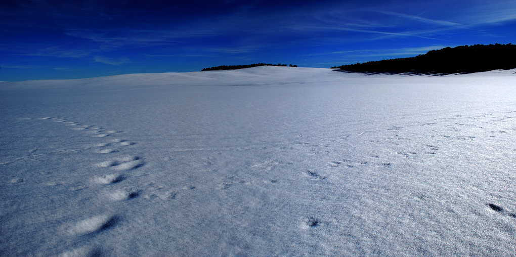 Nei pressi di Bryce Canyon