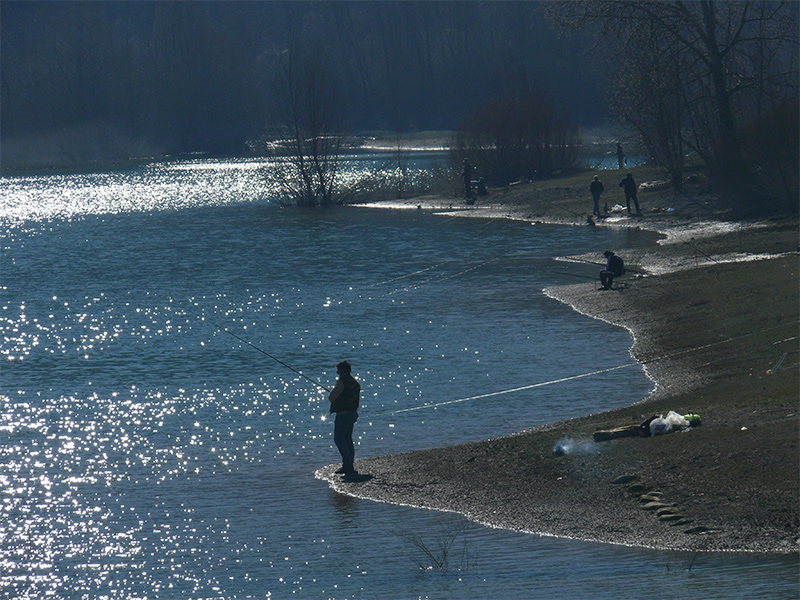pesca d'argento in blu