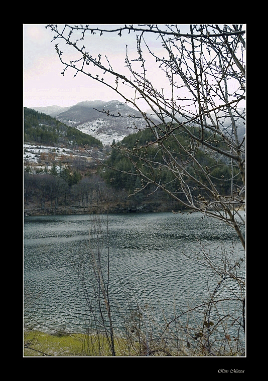 Il lago d'inverno