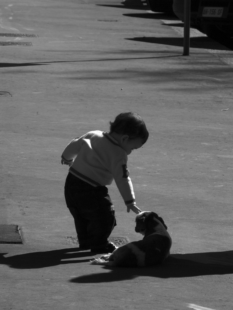 LA CAREZZA DI UN BAMBINO