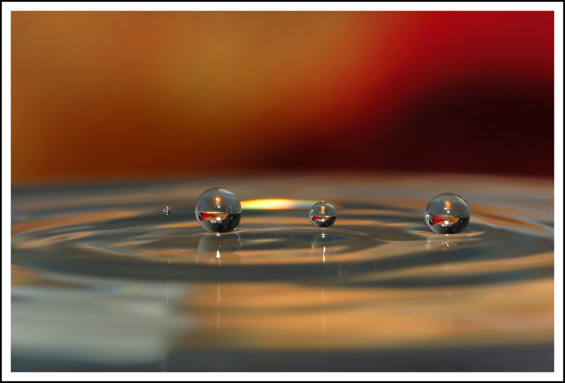 Gocce al tramonto