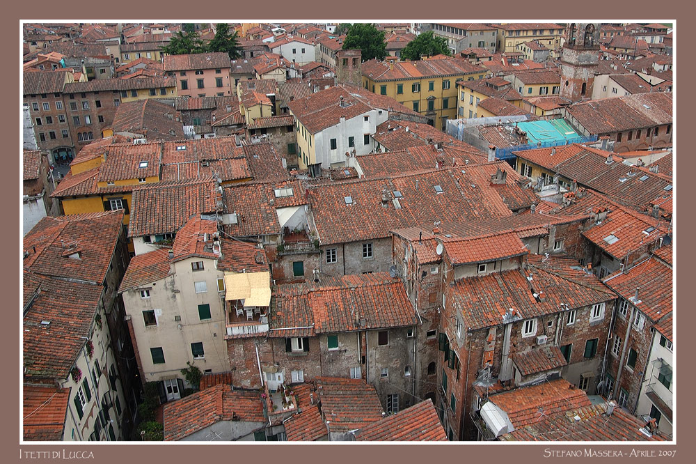 :: I tetti di Lucca ::