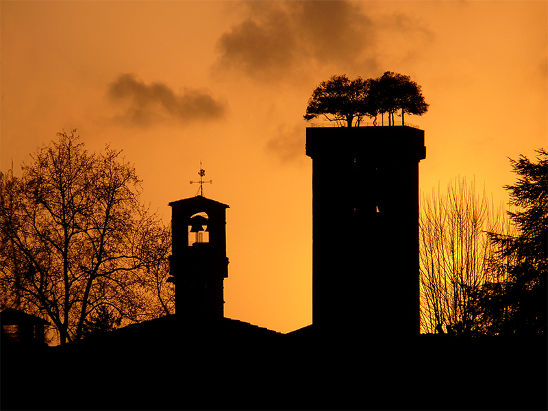 Torre dei Guinigi