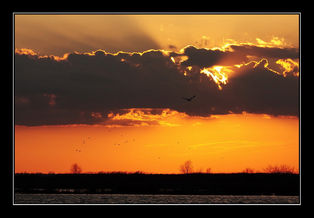 Ultimi voli del giorno...