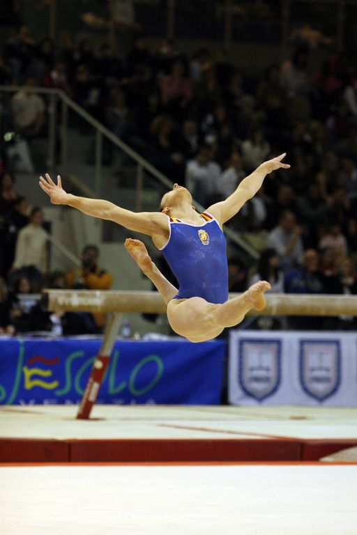 Ginnastica Artistica