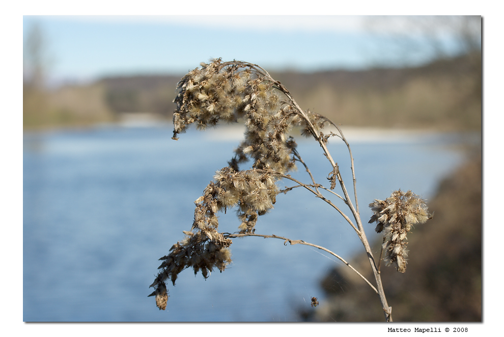 Colori di fine inverno