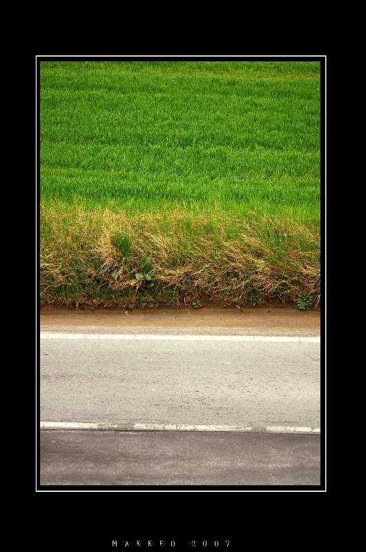 strada-erbaccia-prato