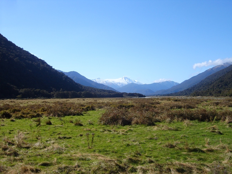 Tipico paesaggio Kiwi