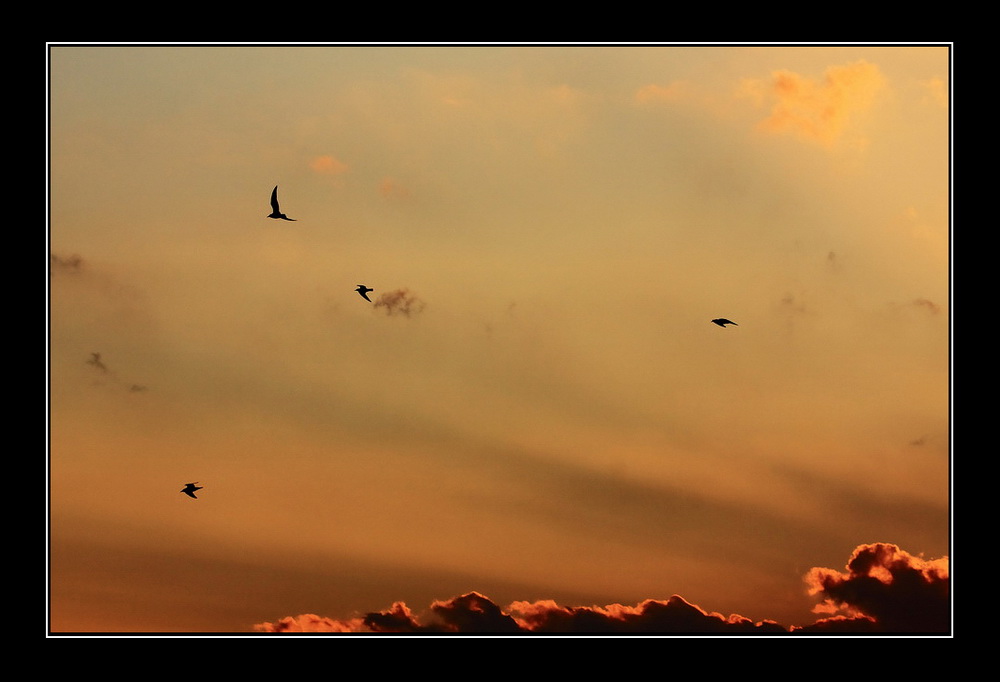 Dedicata alla mamma di Clara...