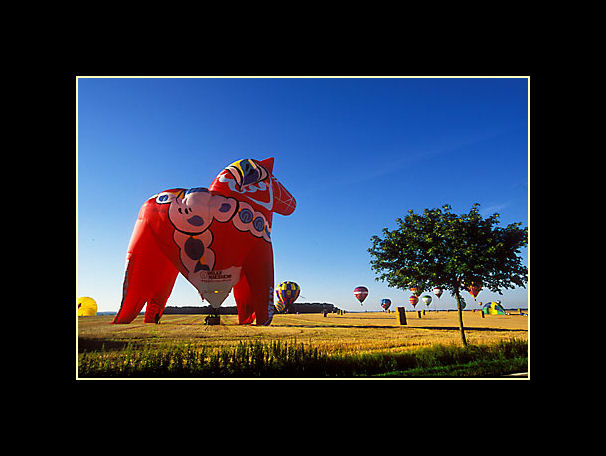 Hot Air Ballons by Foto ReD