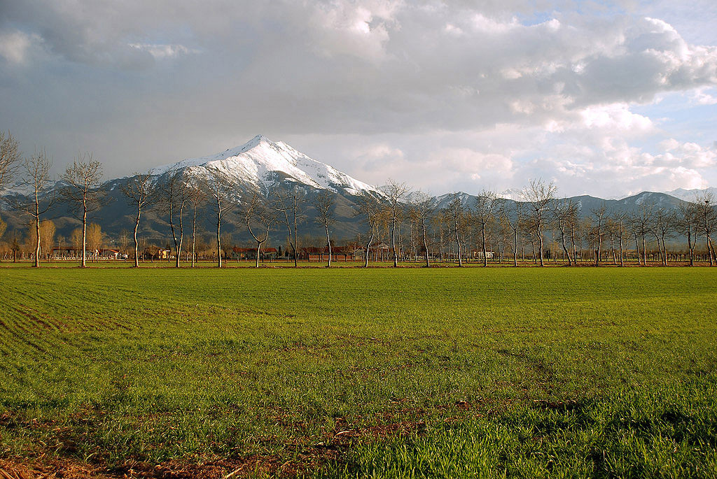 dalla pianura ... alle alpi