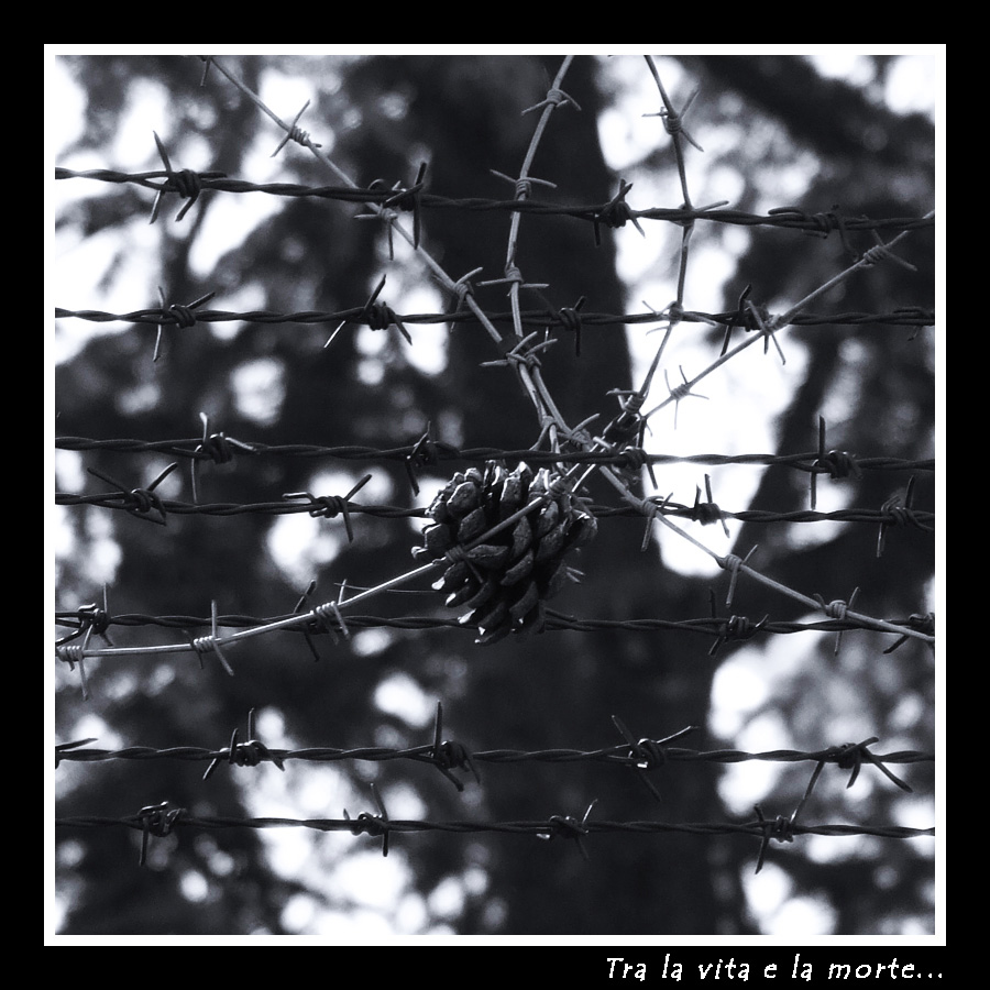 Tra la vita e la morte