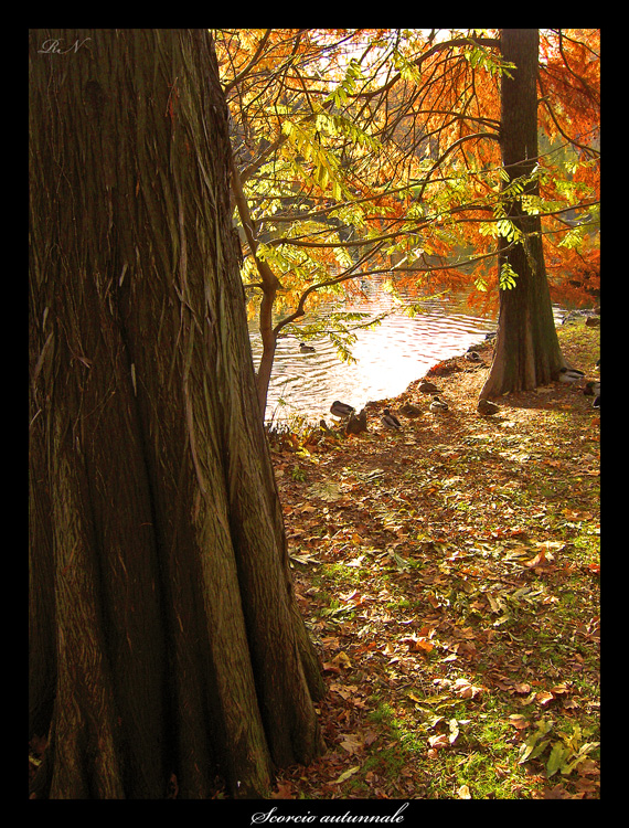 Scorcio autunnale