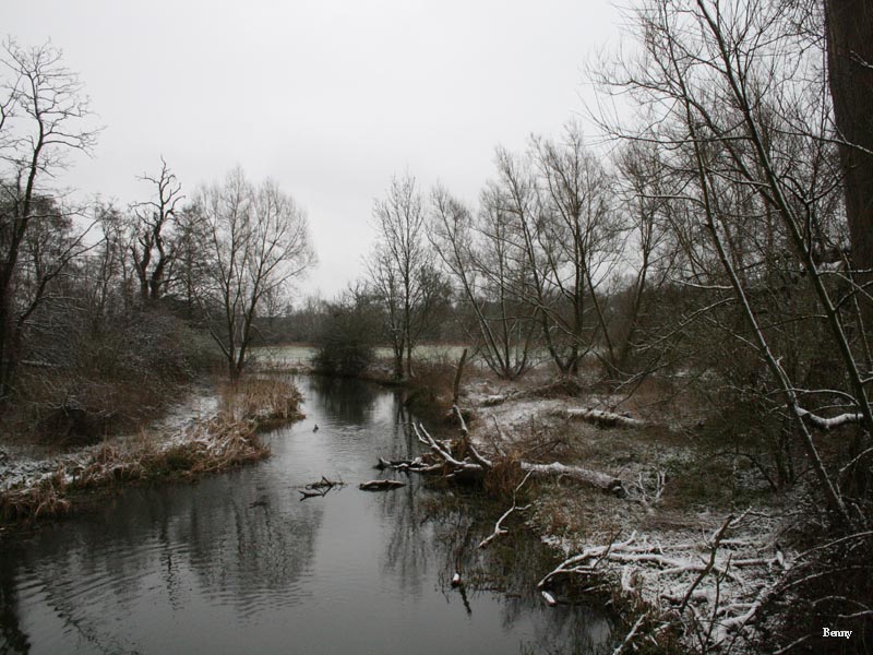 Winter breeze in March!!!