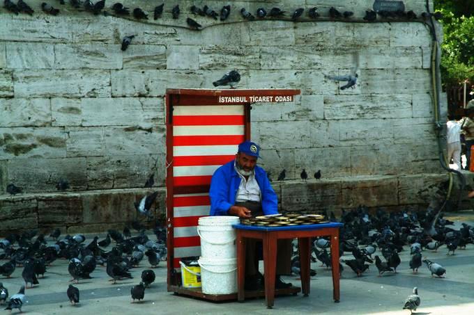 Venditore di piccioni