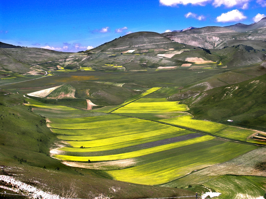 Monti Sibillini Piano di Castelluccio di Norcia