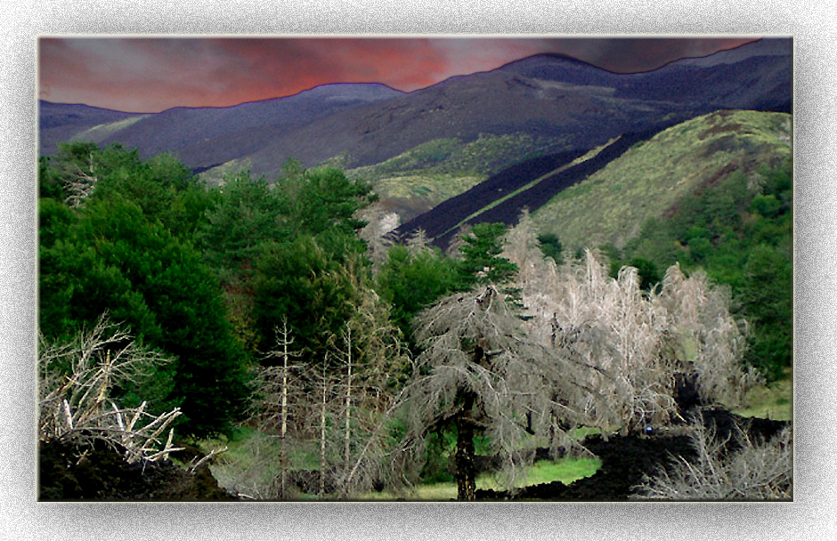 Colori dell'Etna .............