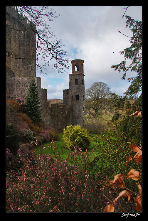 immerso nella natura...