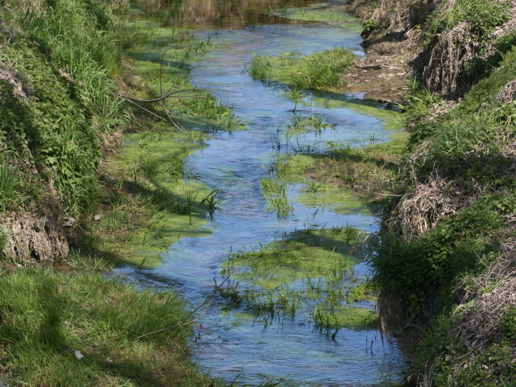 seduto in riva al fosso