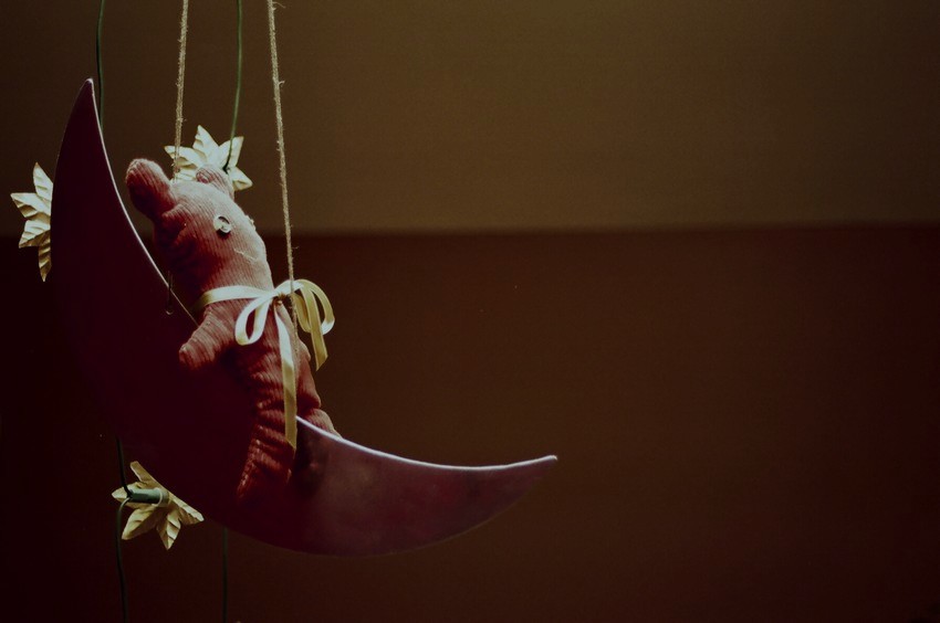 first teddy on the moon