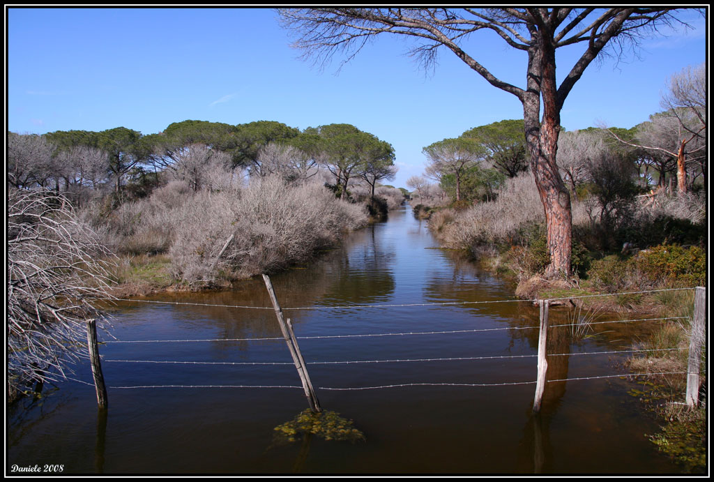 canale nella palude