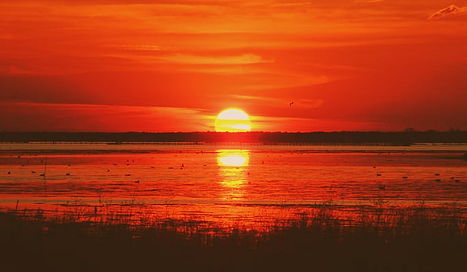 TRAMONTO SUL DELTA DEL PO