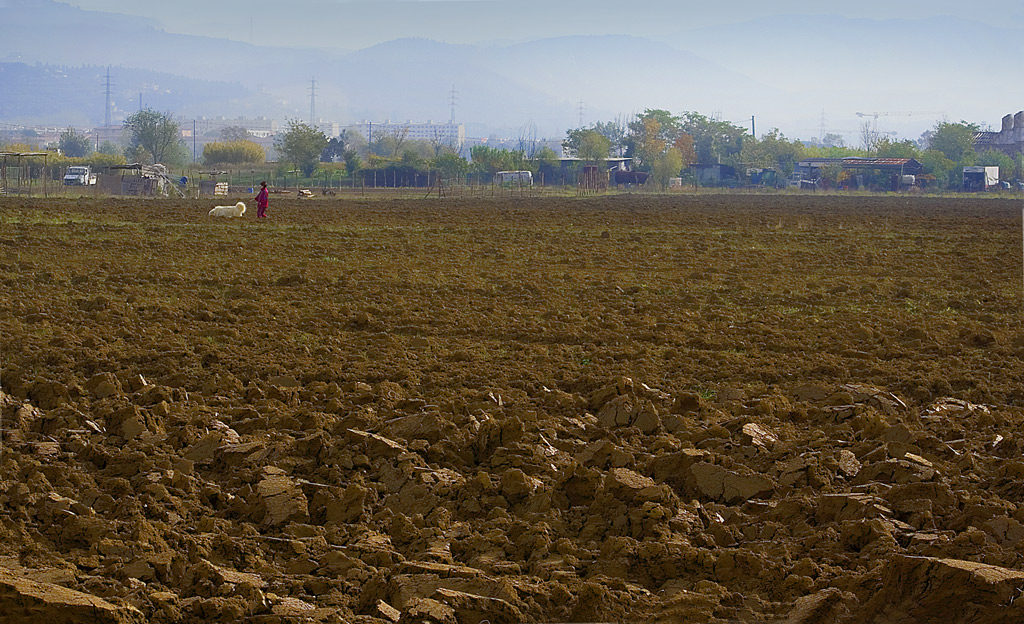 a spasso in campagna