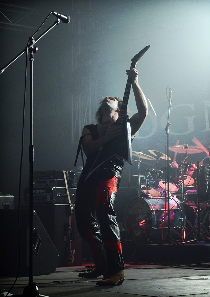 "Jackal" guitar, Bob Marotta | 1� Heavy Naples Fest