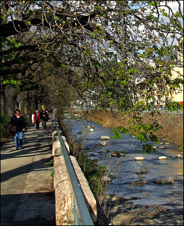 Sulla riva del torrente