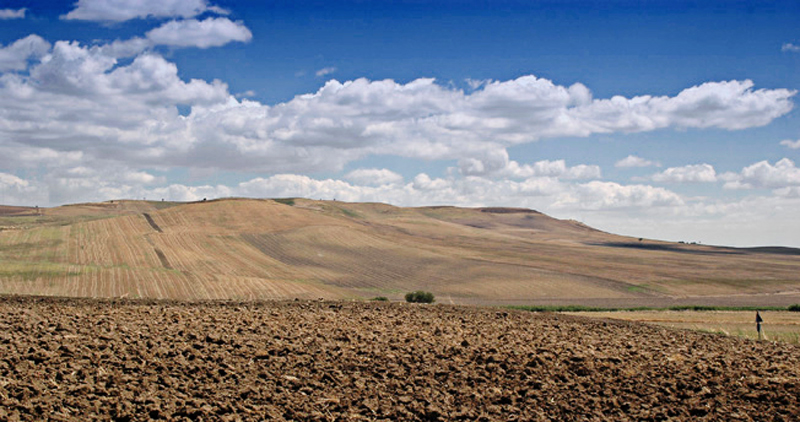 Terra di puglia