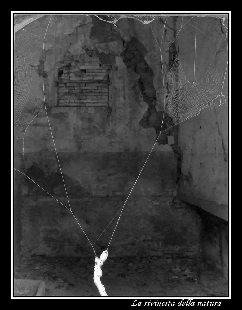 La rivincita della natura