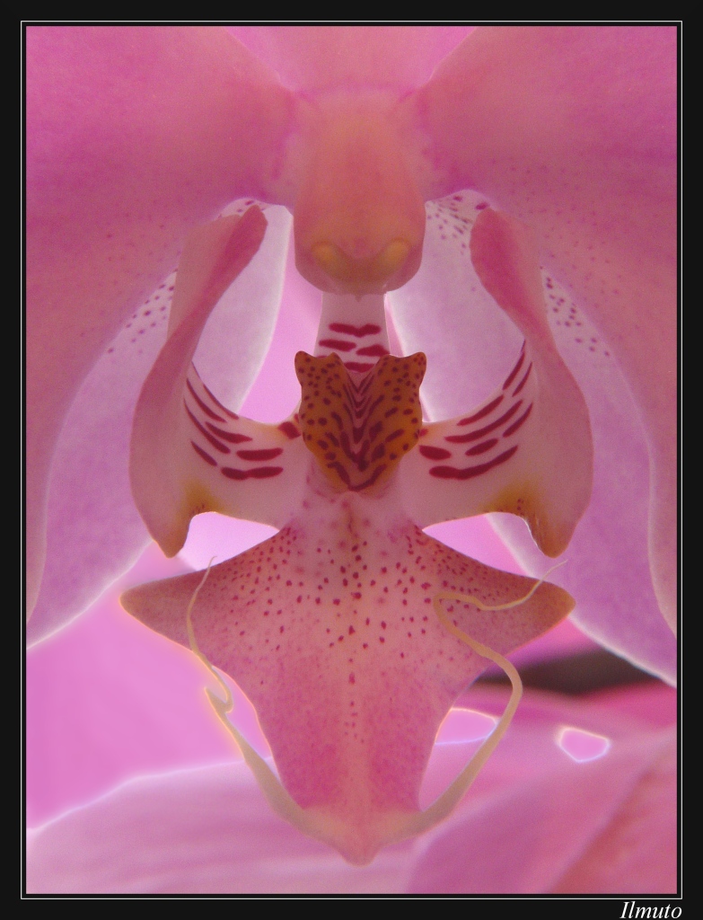 Aaaaaaaaaaaaaaaa....