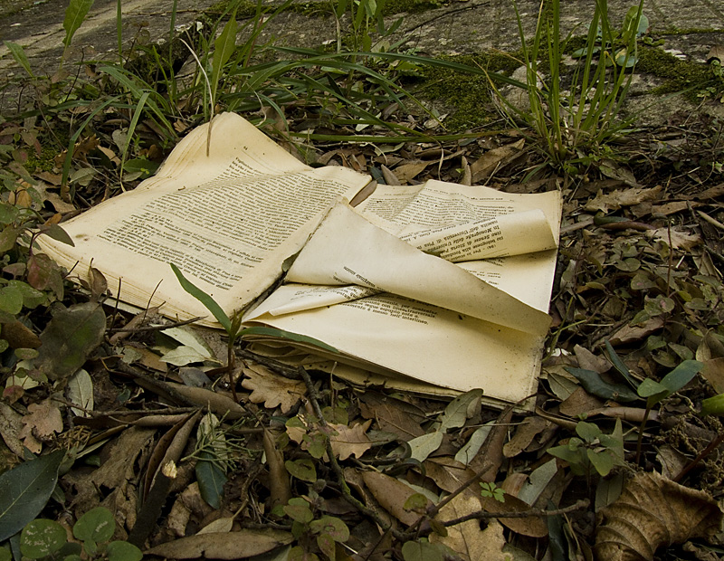 Verba volant,scripta manent.