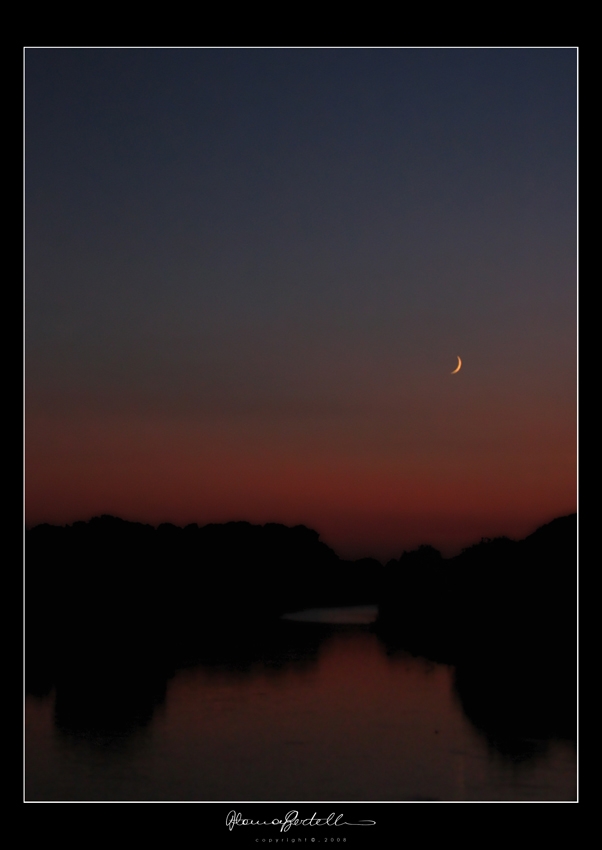 ...cos� mi parli d'amore.