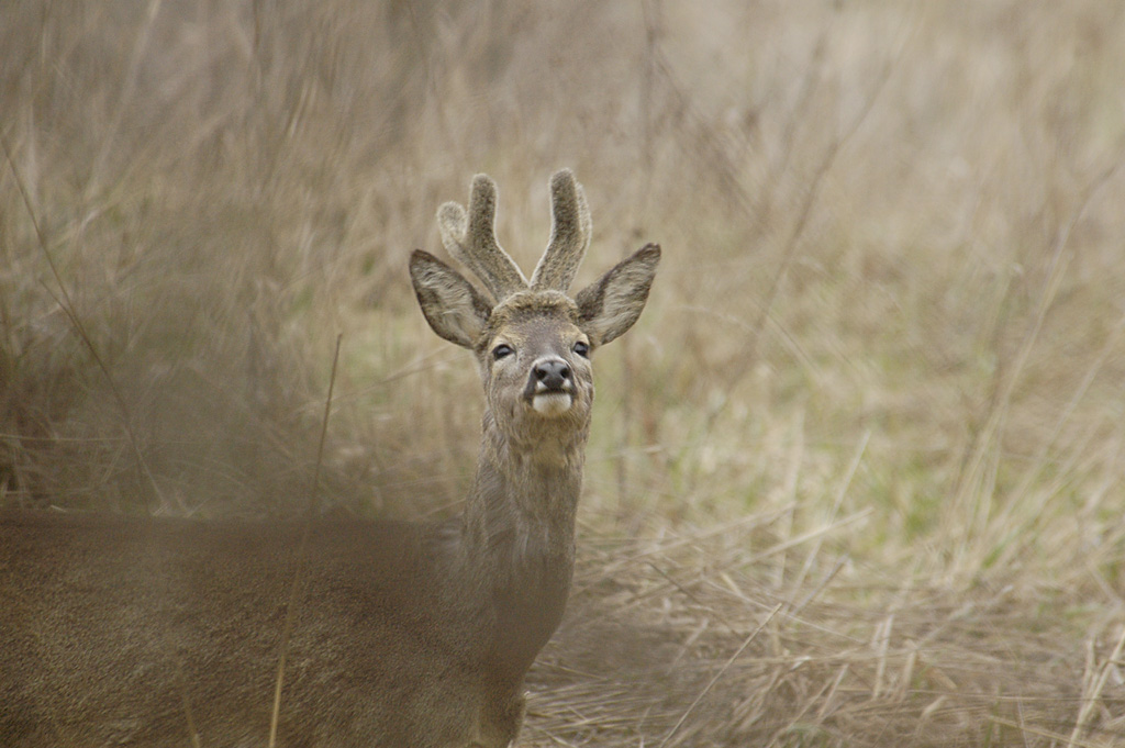 Qualcosa non v�....