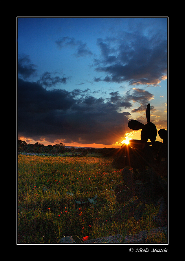 Il caldo abbraccio della primavera