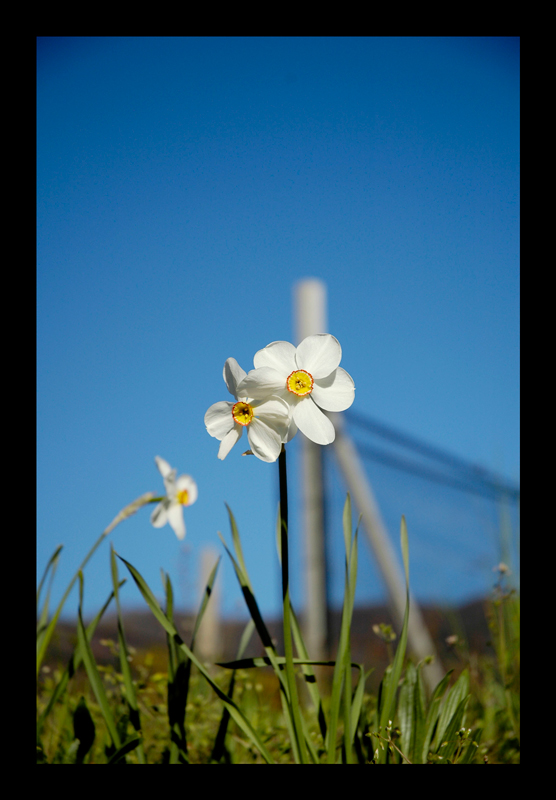 La natura si sorregge da sola....