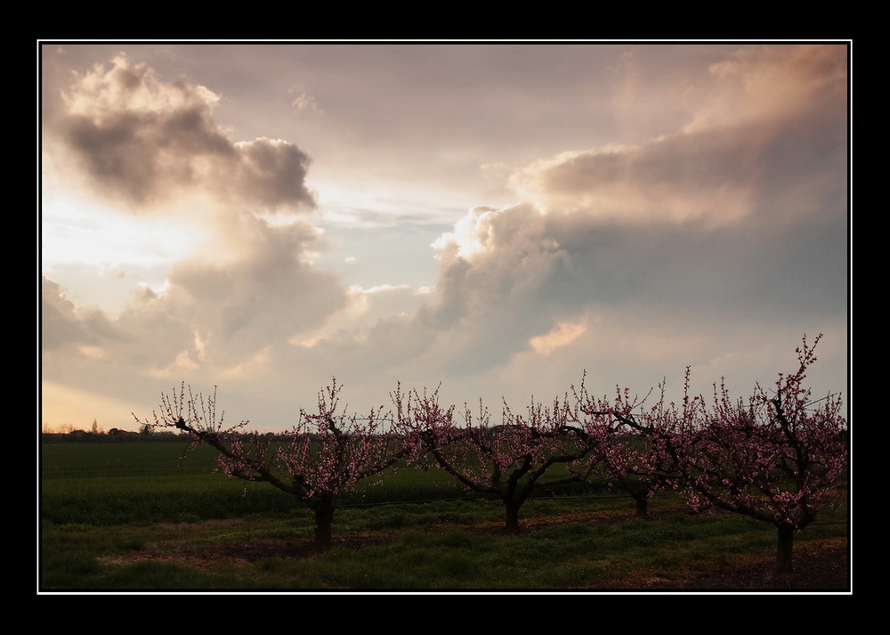 E' quasi primavera...