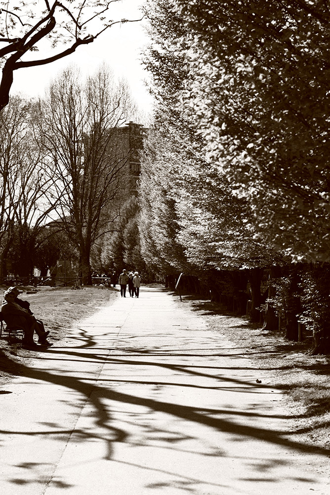Passeggiata lungo il Po