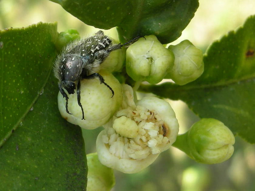 ...questo � mio e....