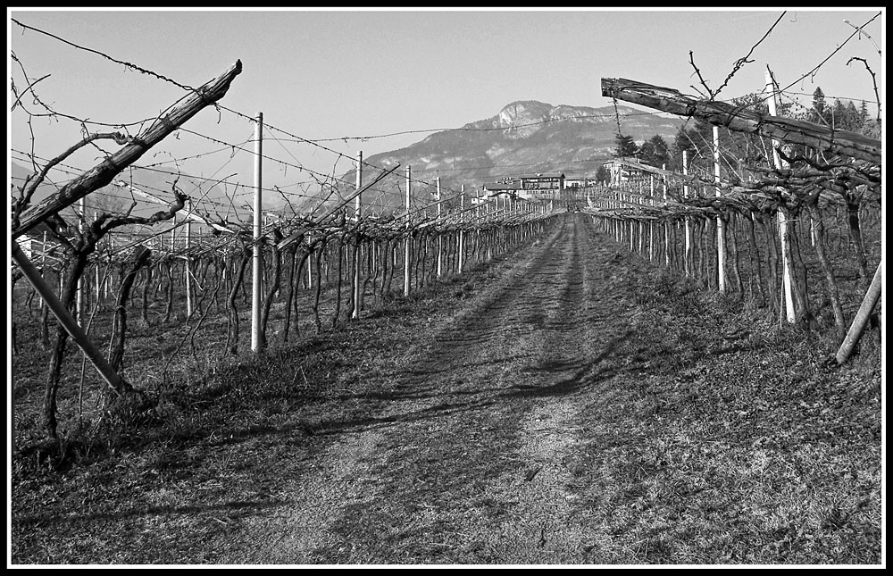 Manca poco alla primavera
