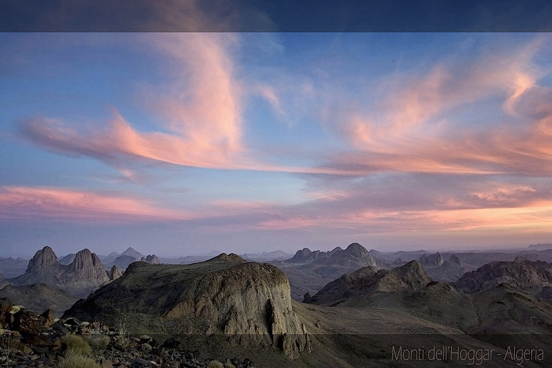 Cartolina dall'Algeria